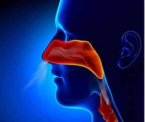 Sinusitis Infection Causes, Symptoms, Treatment